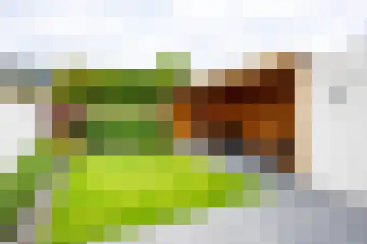 Gratenstraat 15 Venray thumbnail 28