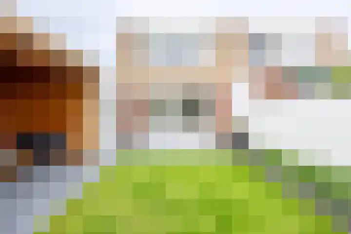 Gratenstraat 15 Venray thumbnail 29