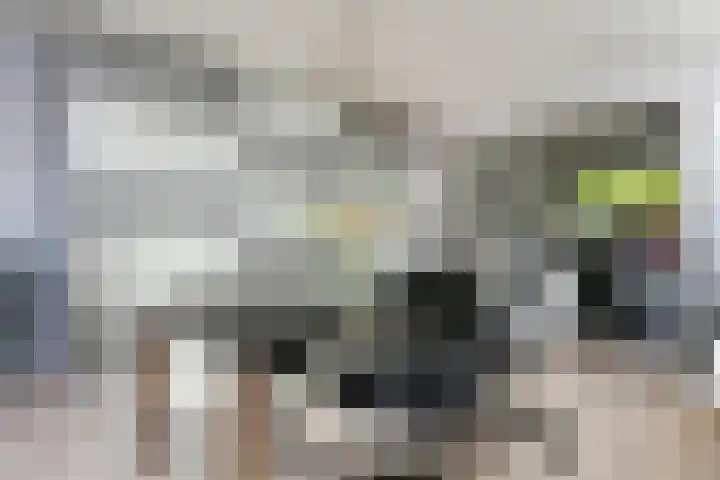 Grathemerweg 4 Kelpen-Oler thumbnail 13