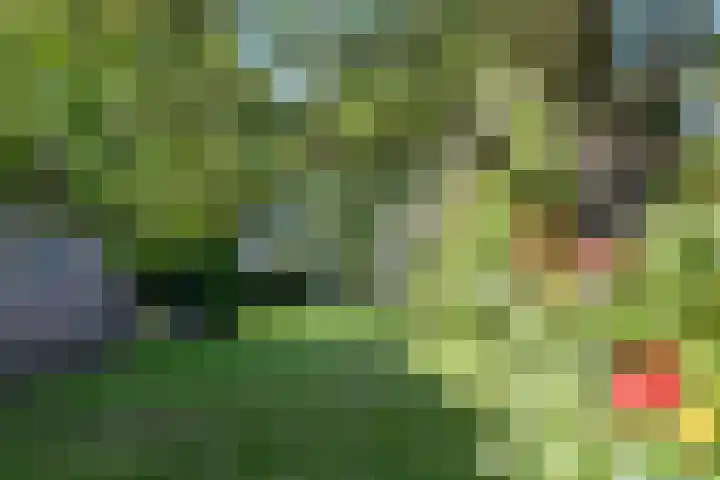 Grathemerweg 4 Kelpen-Oler thumbnail 27