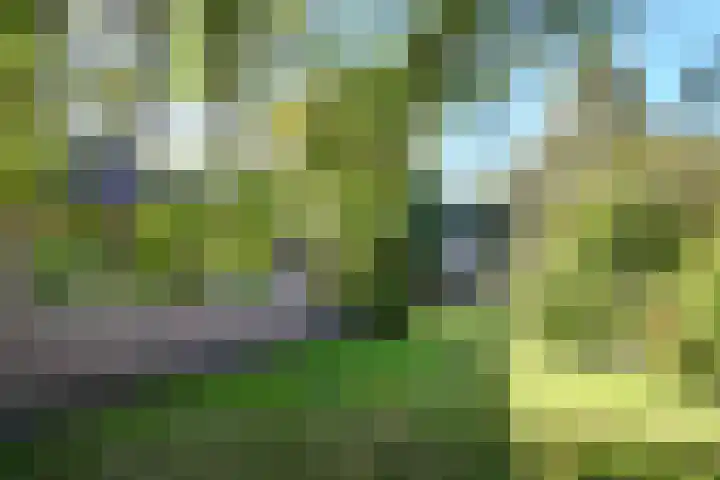 Grathemerweg 4 Kelpen-Oler thumbnail 28