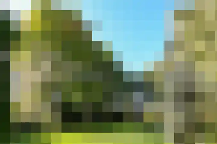 Grathemerweg 4 Kelpen-Oler thumbnail 29