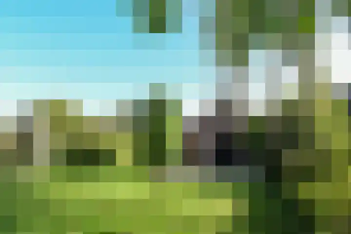 Grathemerweg 4 Kelpen-Oler thumbnail 32