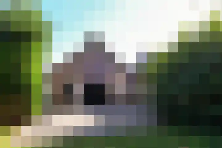 Grathemerweg 4 Kelpen-Oler thumbnail 33