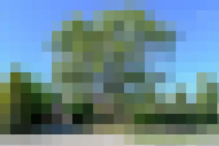 Grathemerweg 4 Kelpen-Oler thumbnail 37