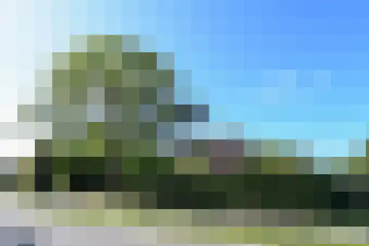 Grathemerweg 4 Kelpen-Oler thumbnail 38