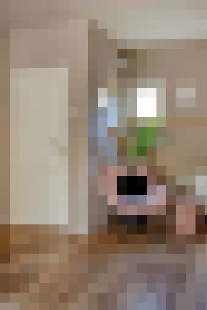Grathemerweg 43 Kelpen-Oler thumbnail 15