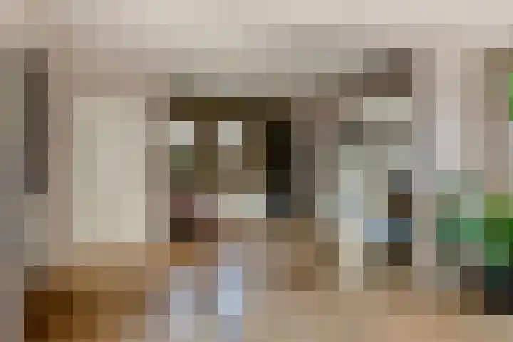 Grathemerweg 43 Kelpen-Oler thumbnail 17