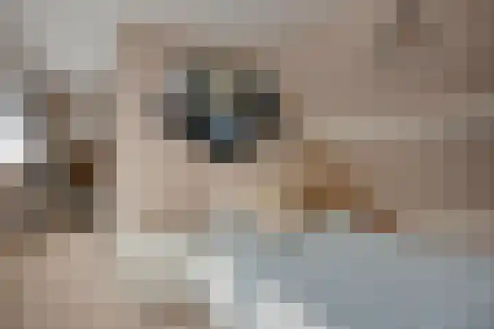 Grathemerweg 43 Kelpen-Oler thumbnail 38