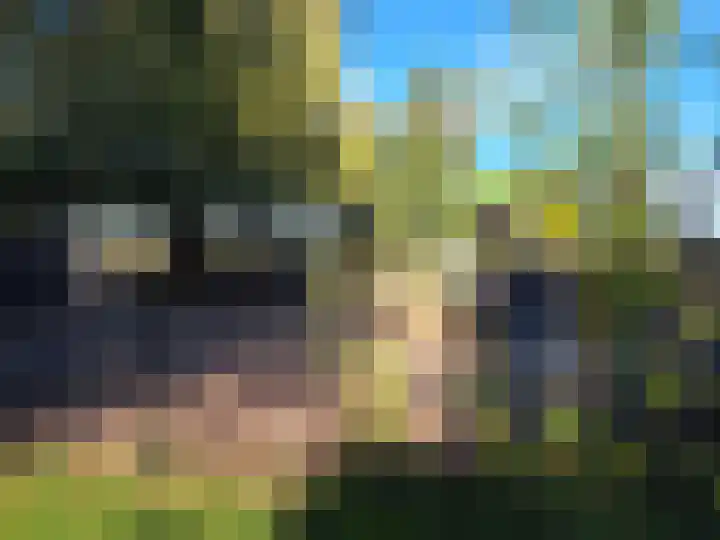 Grathemerweg 43 Kelpen-Oler thumbnail 51