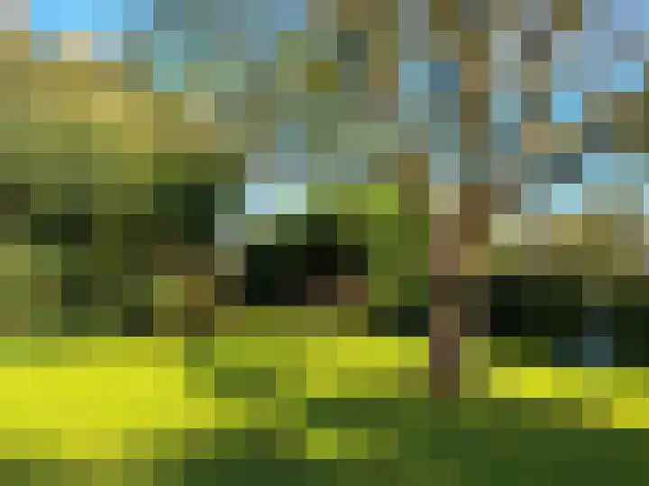 Grathemerweg 43 Kelpen-Oler thumbnail 56