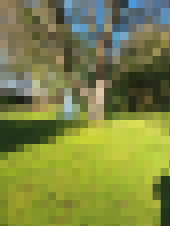 Grathemerweg 43 Kelpen-Oler thumbnail 57