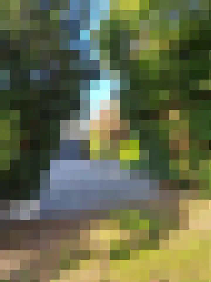 Grathemerweg 43 Kelpen-Oler thumbnail 61