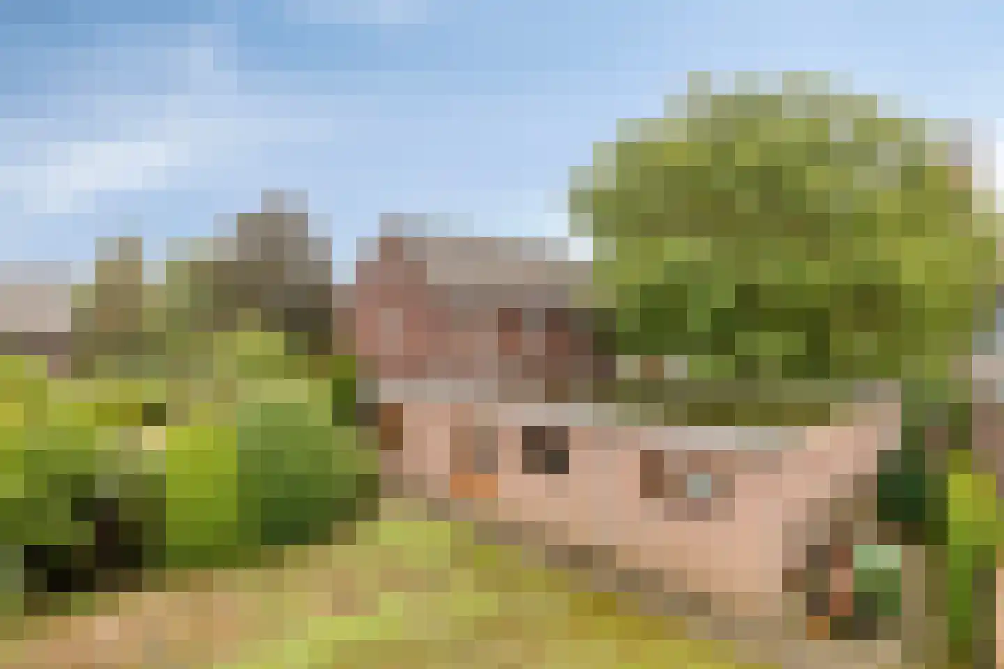 Grathemerweg 54 Kelpen-Oler thumbnail 53