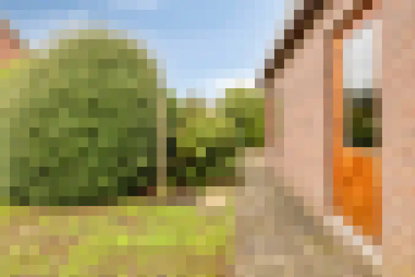 Grathemerweg 54 Kelpen-Oler thumbnail 55