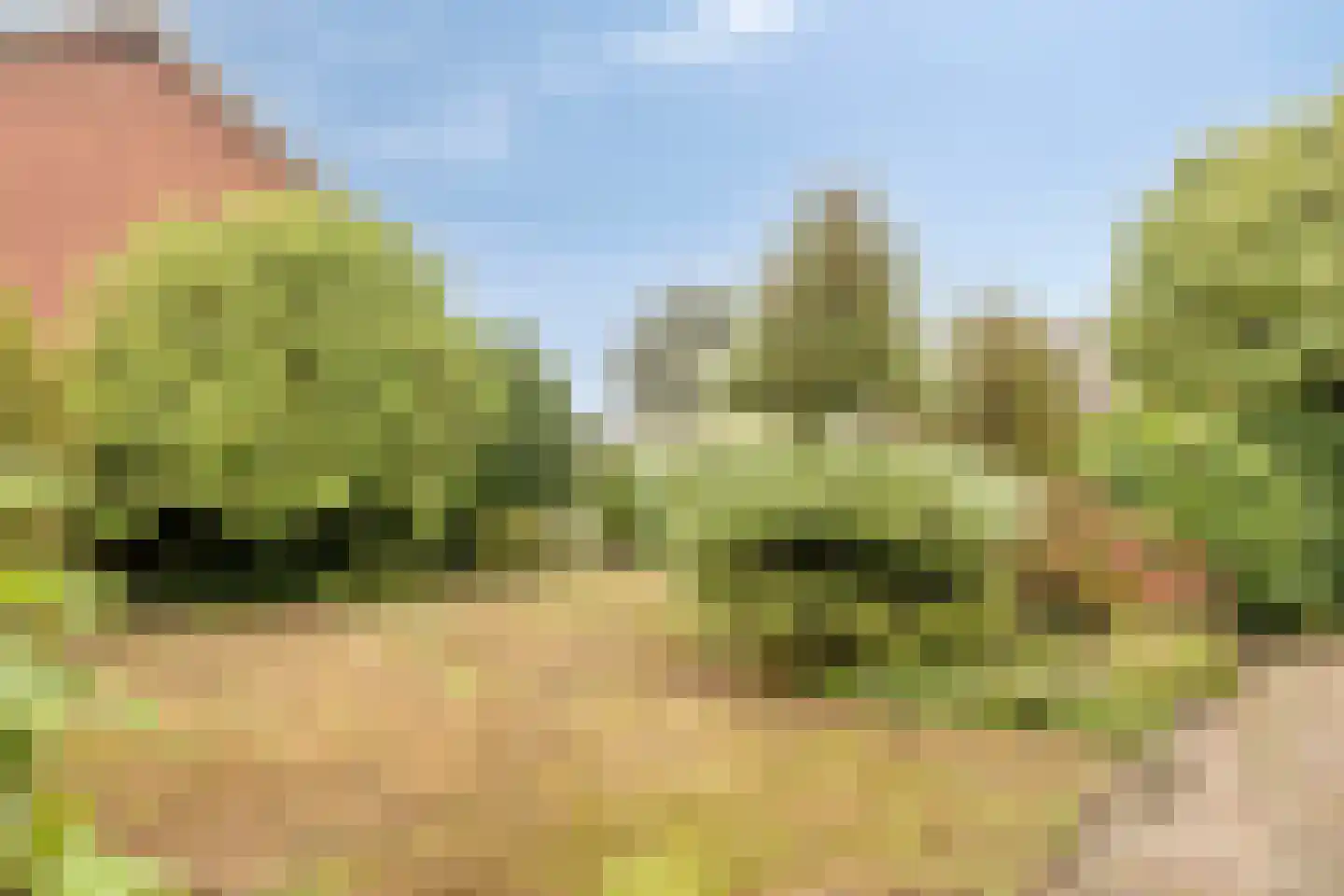 Grathemerweg 54 Kelpen-Oler thumbnail 56