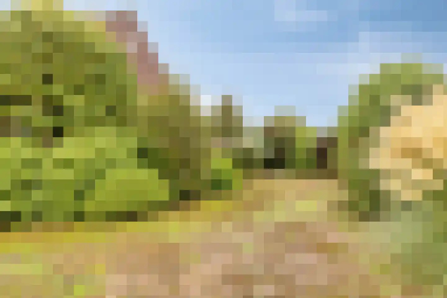 Grathemerweg 54 Kelpen-Oler thumbnail 58