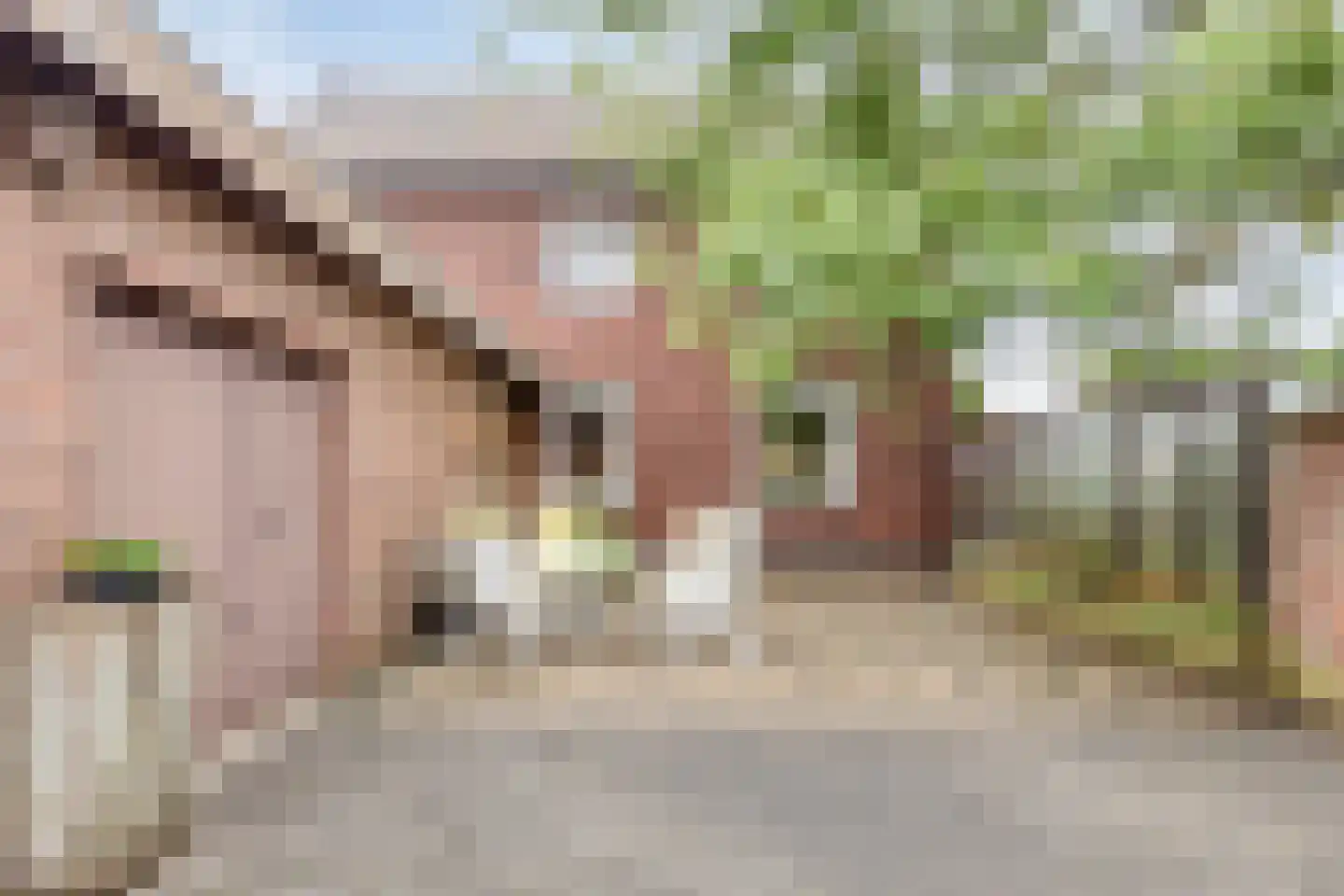 Grathemerweg 54 Kelpen-Oler thumbnail 66