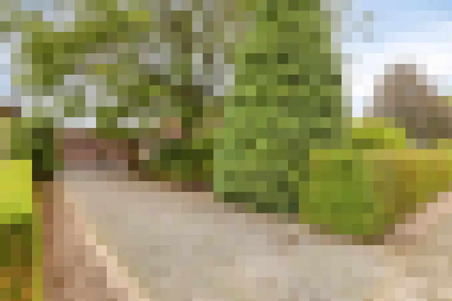 Grathemerweg 54 Kelpen-Oler thumbnail 68