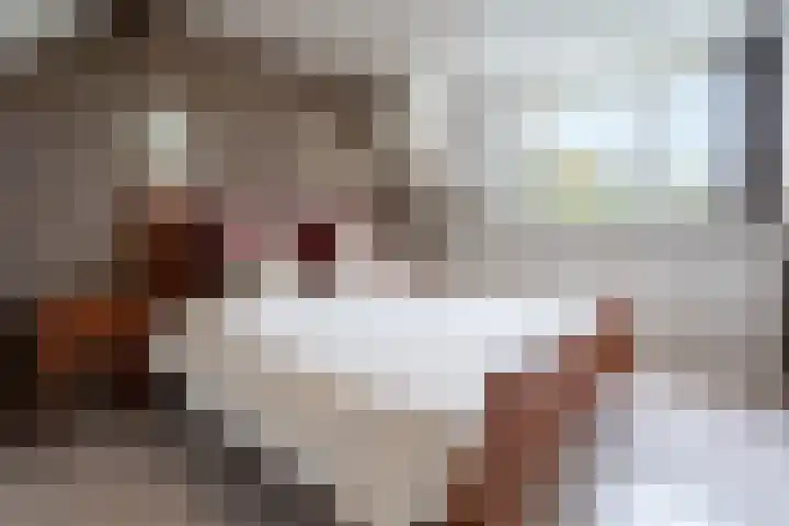 Grathemstraat 24 Tilburg thumbnail 22