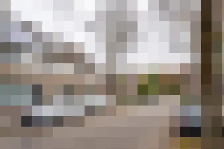 Grathemstraat 24 Tilburg thumbnail 28