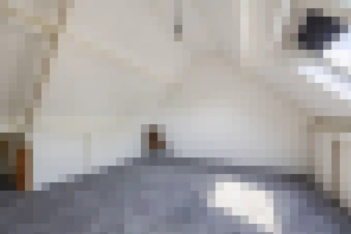 Grathemstraat 32 Tilburg thumbnail 31