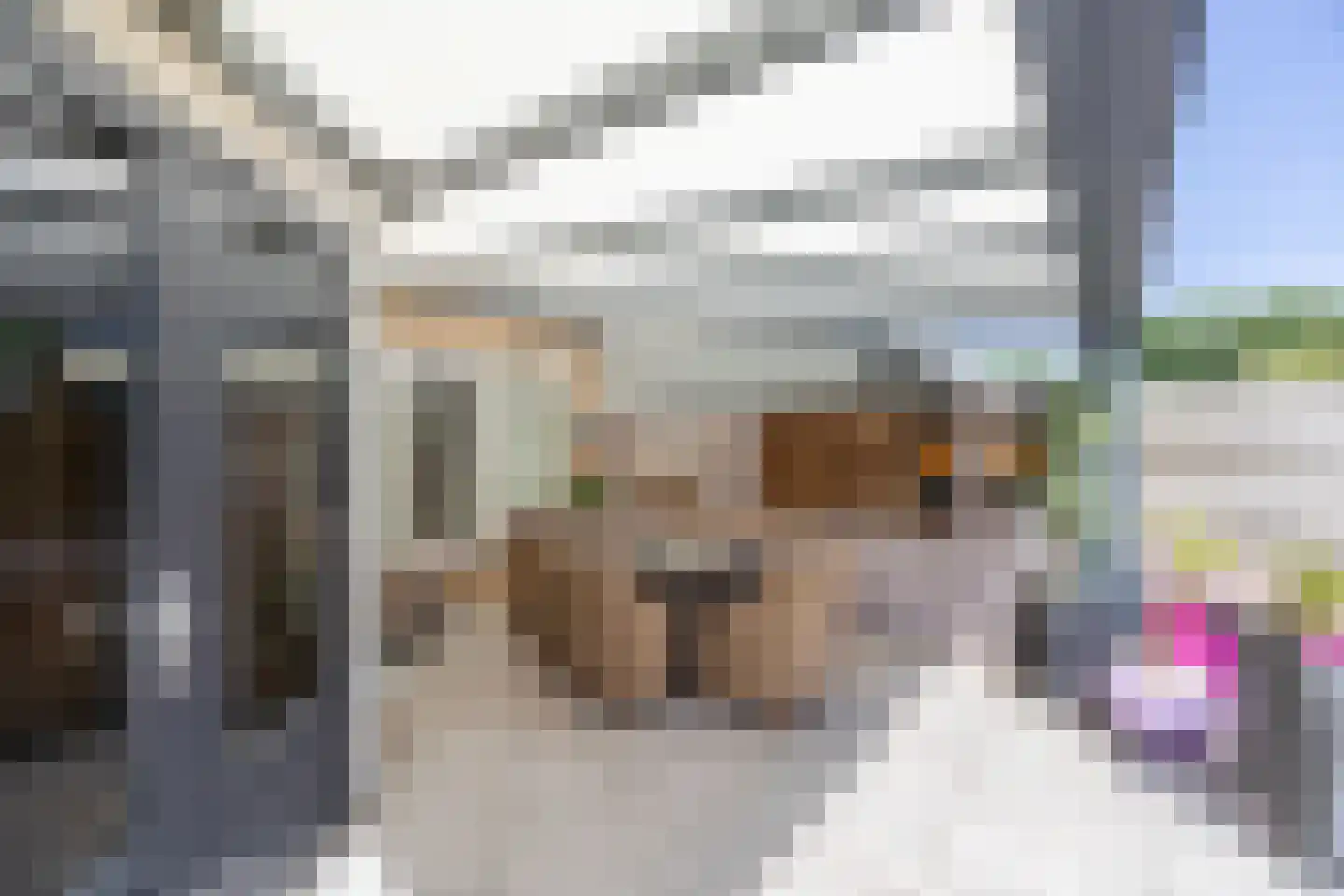Grathemstraat 32 Tilburg thumbnail 32