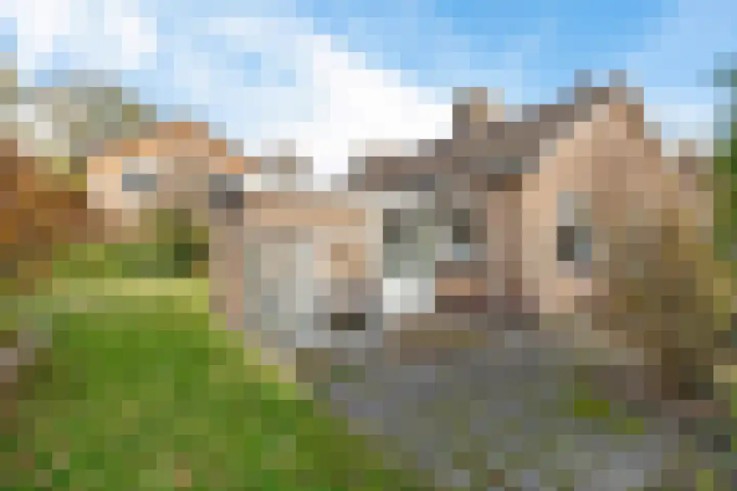 Gratia Susannastraat 4 Schiermonnikoog thumbnail 20