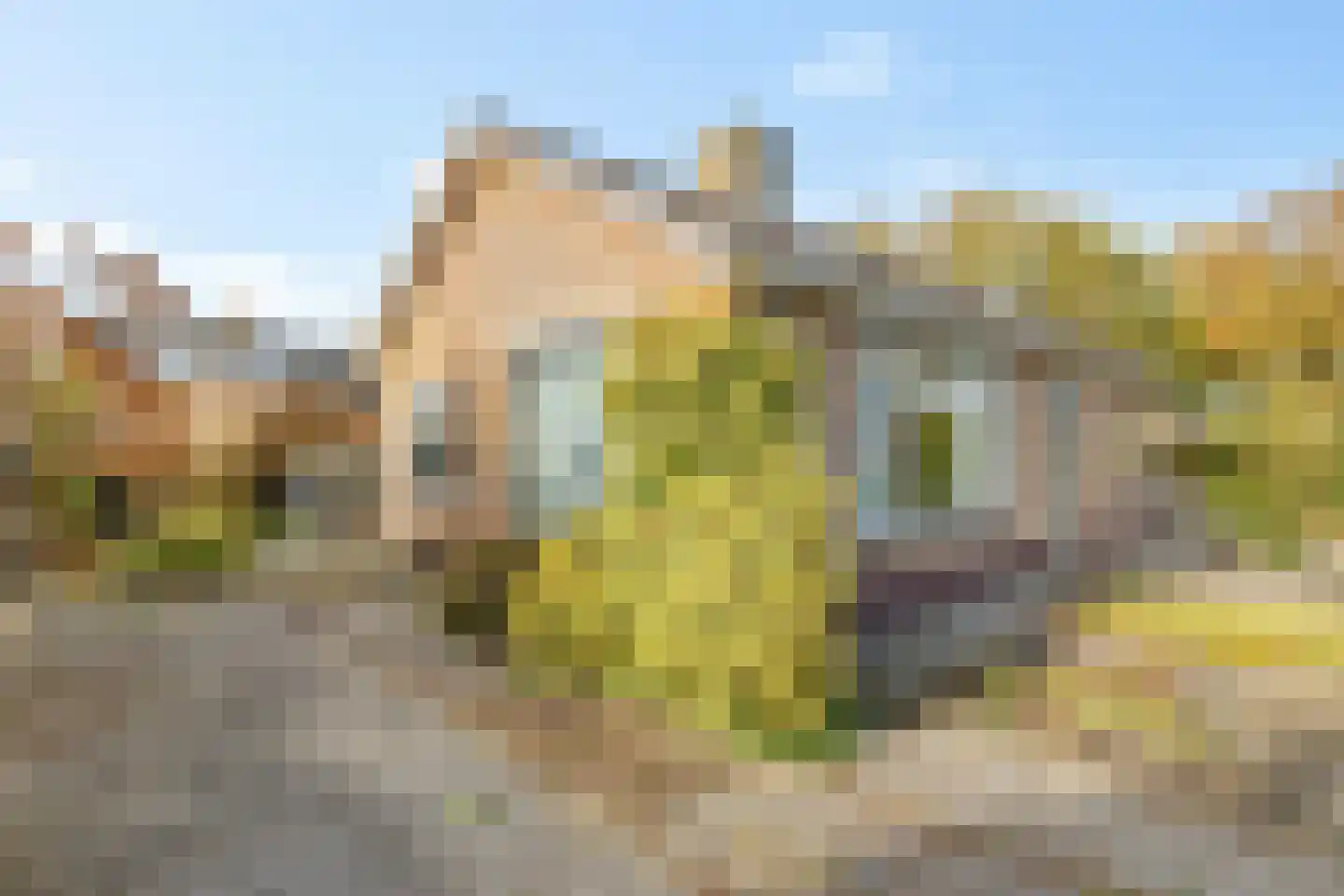 Gratia Susannastraat 4 Schiermonnikoog thumbnail 24