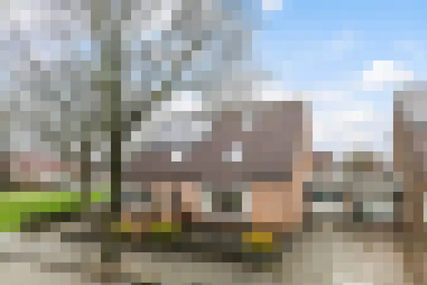 Gratingastins 3 Leeuwarden thumbnail 7