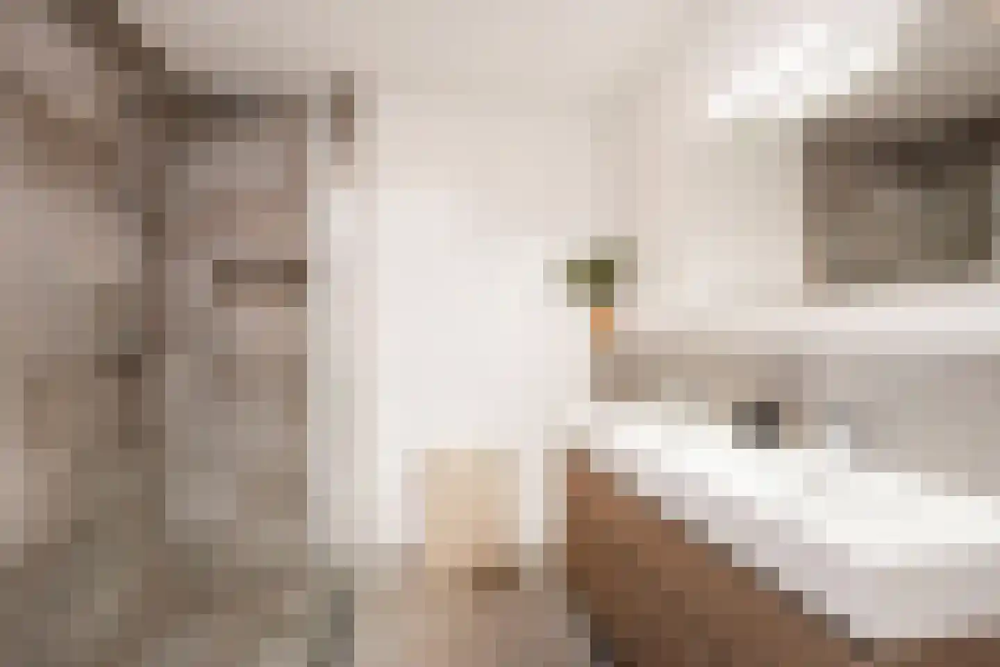 Grauwaartsingel 246 Utrecht thumbnail 32