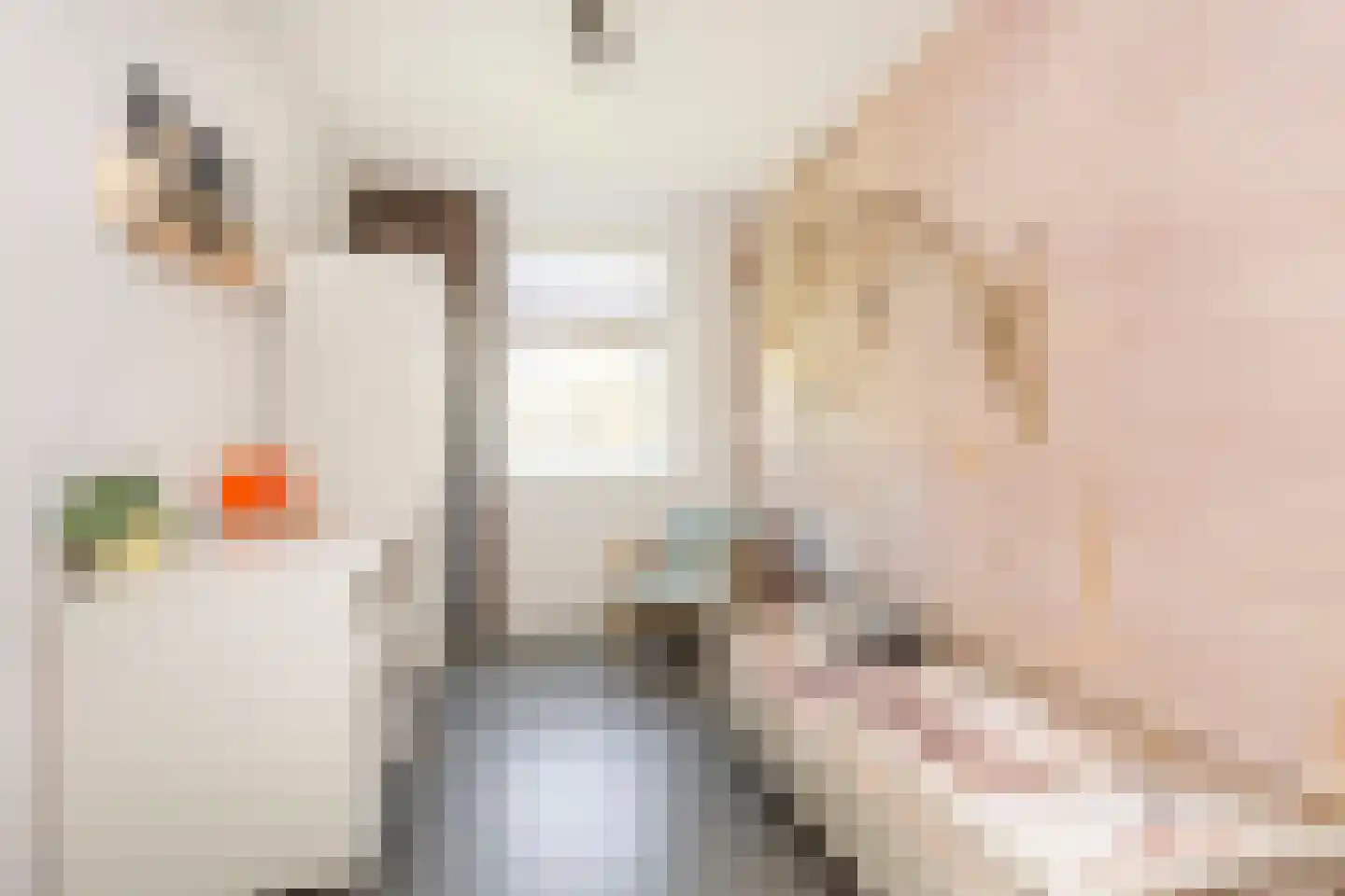 Grauwaartsingel 246 Utrecht thumbnail 33