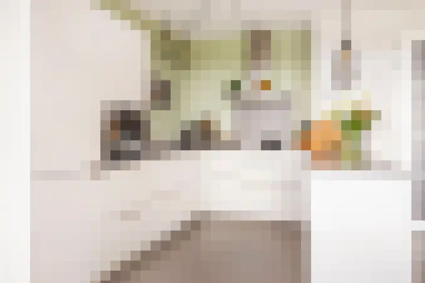 Grauwaartsingel 246 Utrecht thumbnail 8