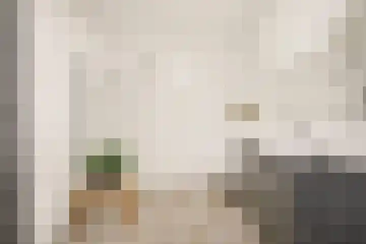 Grauwaartsingel 270 Utrecht thumbnail 18