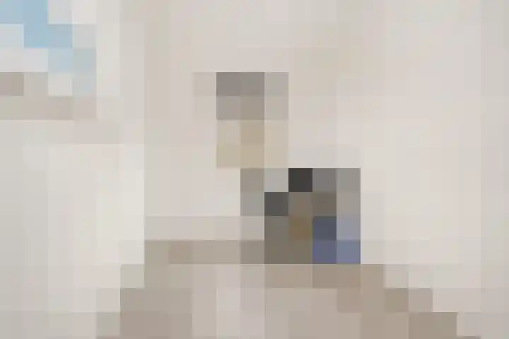 Grauwaartsingel 270 Utrecht thumbnail 22