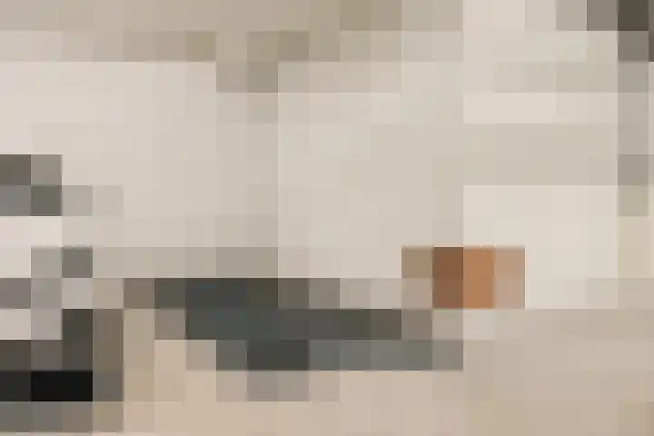 Grauwaartsingel 270 Utrecht thumbnail 31