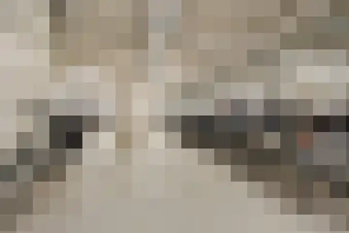 Grauwaartsingel 270 Utrecht thumbnail 32