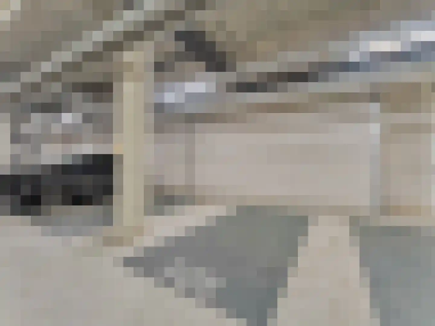 Grauwaartsingel 450 Utrecht thumbnail 37