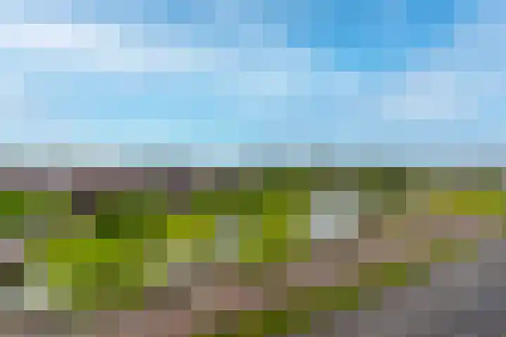 Grauwaartsingel 456 Utrecht thumbnail 17