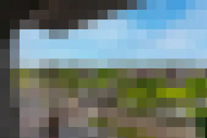 Grauwaartsingel 456 Utrecht thumbnail 18