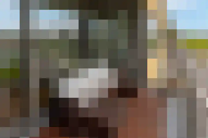 Grauwaartsingel 456 Utrecht thumbnail 19