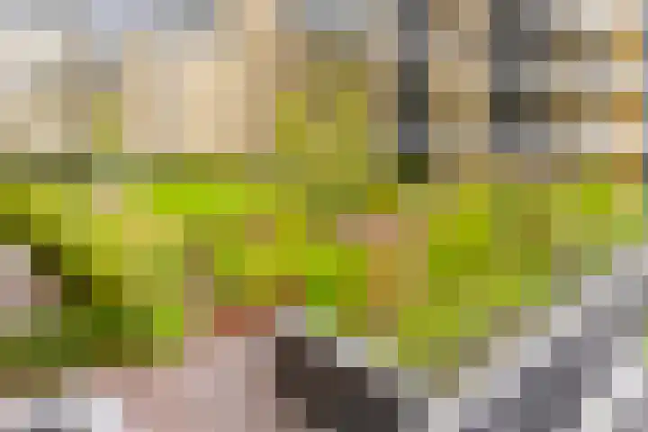 Grauwaartsingel 456 Utrecht thumbnail 30