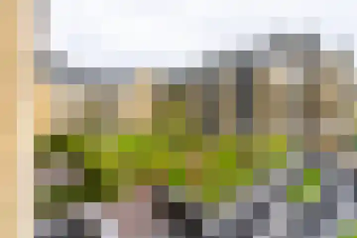Grauwaartsingel 456 Utrecht thumbnail 4