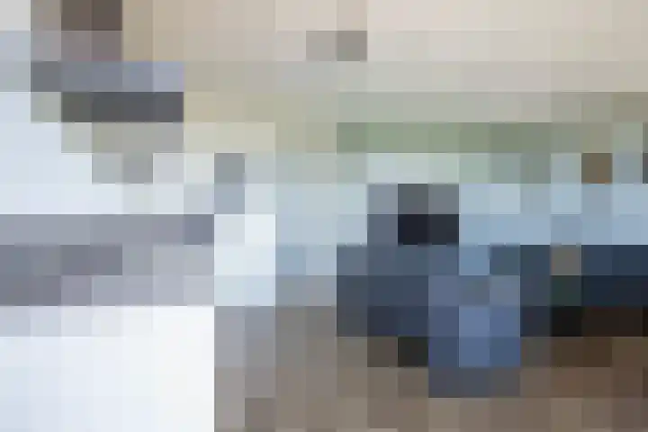 Grauwaartsingel 482 Utrecht thumbnail 16