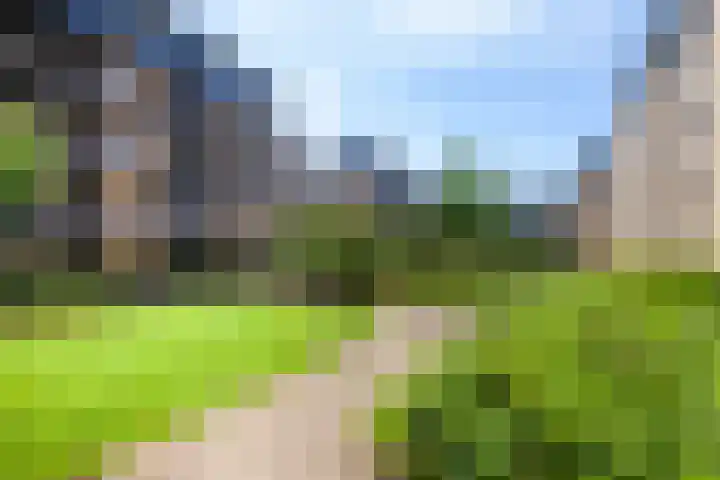 Grauwaartsingel 482 Utrecht thumbnail 32