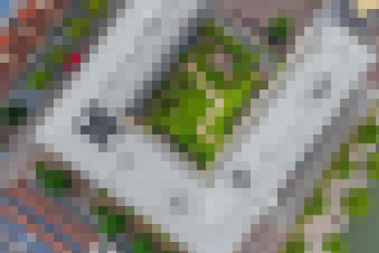 Grauwaartsingel 492 Utrecht thumbnail 52