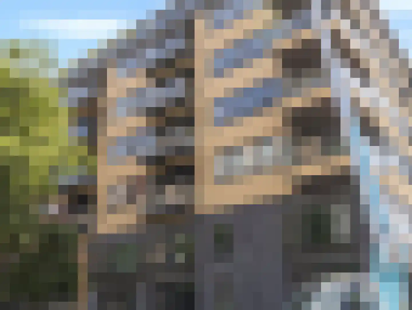 Grauwaartsingel 496 Utrecht