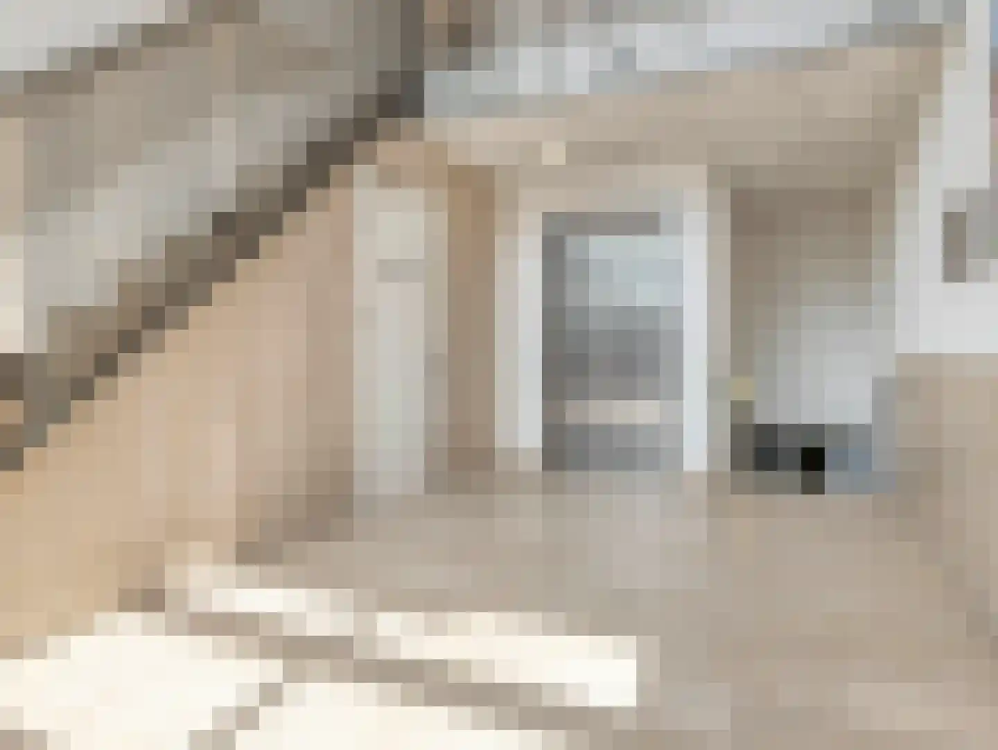 Grauwaartsingel 496 Utrecht thumbnail 17