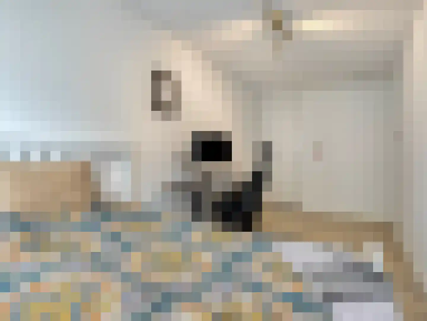 Grauwaartsingel 496 Utrecht thumbnail 33