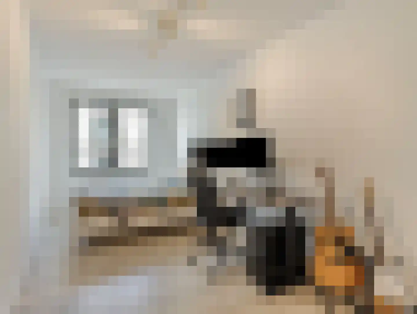 Grauwaartsingel 496 Utrecht thumbnail 6